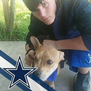 Meet your Posher, Raven